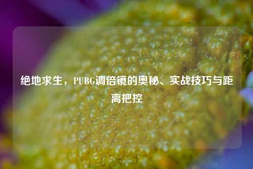绝地求生,PUBG调倍镜的奥秘、实战技巧与距离把控