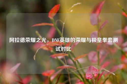 阿拉德荣耀之光，DNF英雄的荣耀与极皇拳套测试对比