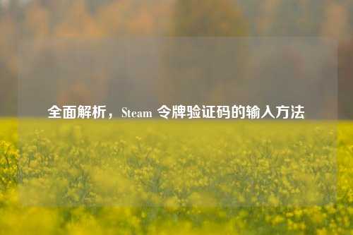 全面解析，Steam 令牌验证码的输入方法