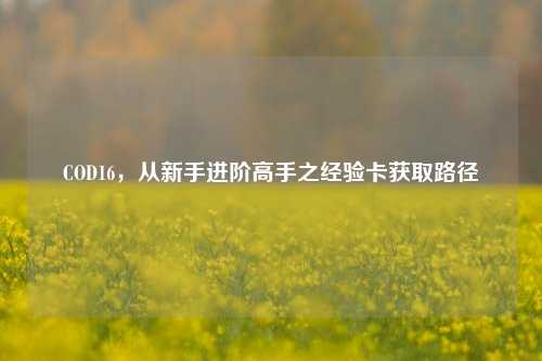 COD16，从新手进阶高手之经验卡获取路径