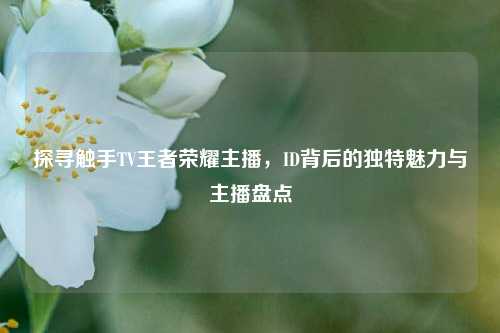 探寻触手TV王者荣耀主播，ID背后的独特魅力与主播盘点