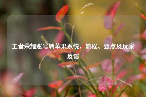 王者荣耀账号转苹果系统，流程、要点及玩家反馈
