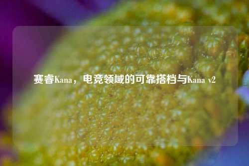 赛睿Kana，电竞领域的可靠搭档与Kana v2