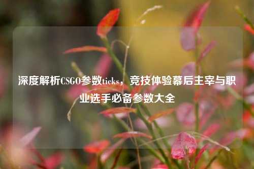 深度解析CSGO参数ticks，竞技体验幕后主宰与职业选手必备参数大全