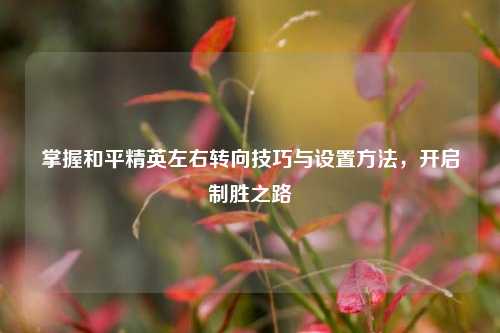 掌握和平精英左右转向技巧与设置方法，开启制胜之路