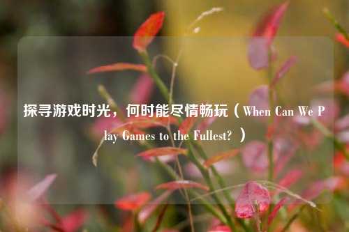 探寻游戏时光，何时能尽情畅玩（When Can We Play Games to the Fullest? ）