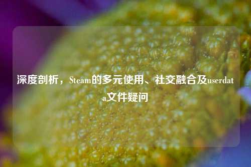 深度剖析，Steam的多元使用、社交融合及userdata文件疑问