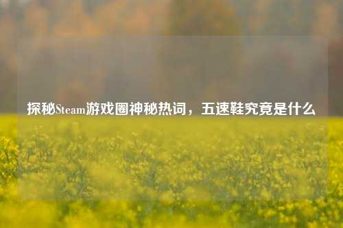 探秘Steam游戏圈神秘热词，五速鞋究竟是什么