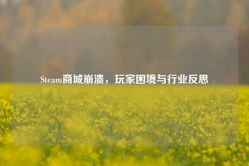 Steam商城崩溃，玩家困境与行业反思