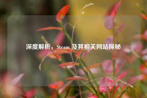 深度解析，Steam 及其相关网站探秘