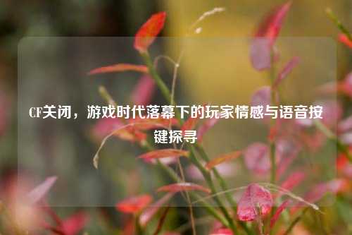 CF关闭，游戏时代落幕下的玩家情感与语音按键探寻