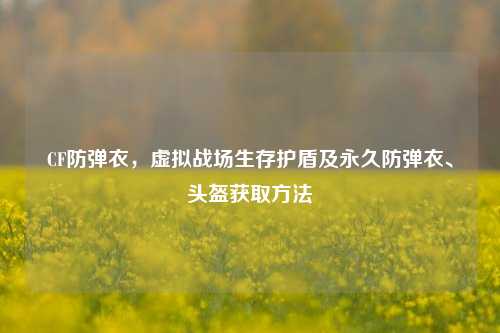 CF防弹衣，虚拟战场生存护盾及永久防弹衣、头盔获取方法