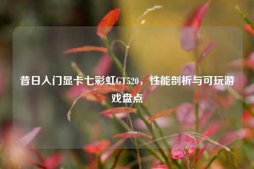 昔日入门显卡七彩虹GT520，性能剖析与可玩游戏盘点