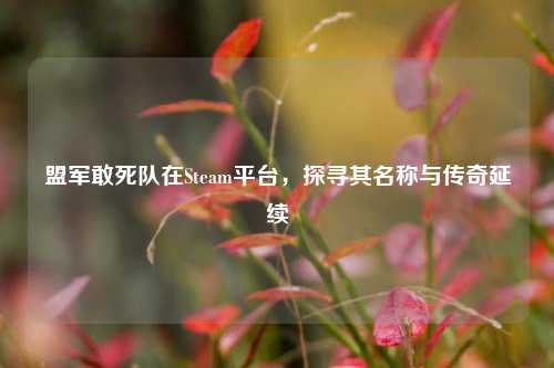 盟军敢死队在Steam平台，探寻其名称与传奇延续