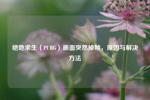 绝地求生（PUBG）画面突然掉帧，原因与解决方法