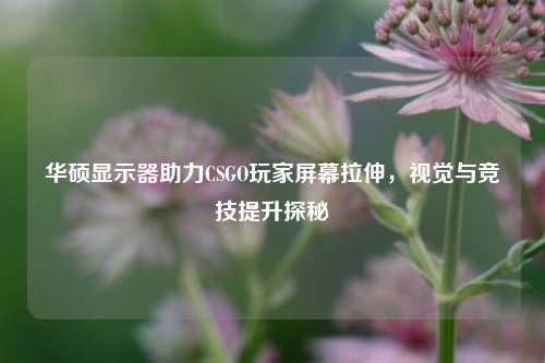 华硕显示器助力CSGO玩家屏幕拉伸，视觉与竞技提升探秘