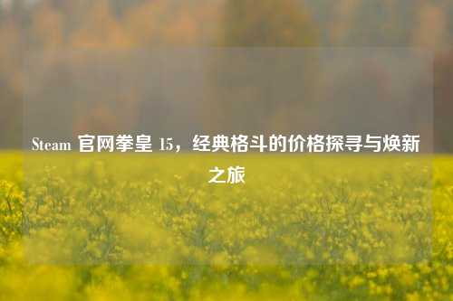 Steam 官网拳皇 15，经典格斗的价格探寻与焕新之旅