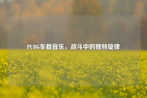 PUBG车载音乐，战斗中的独特旋律