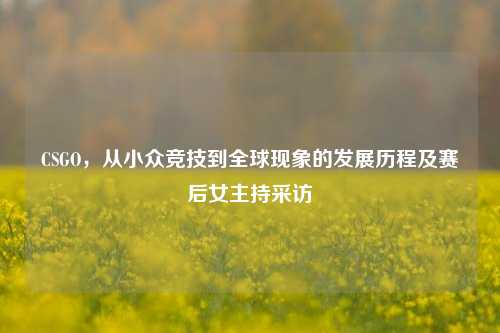 CSGO，从小众竞技到全球现象的发展历程及赛后女主持采访