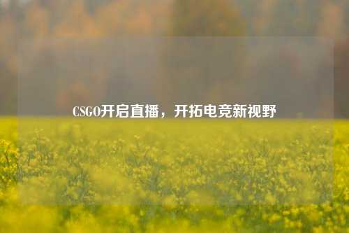 CSGO开启直播，开拓电竞新视野