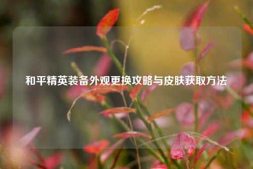 和平精英装备外观更换攻略与皮肤获取方法