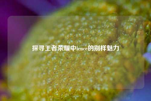 探寻王者荣耀中lence的别样魅力