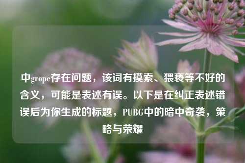 中grope存在问题，该词有摸索、猥亵等不好的含义，可能是表述有误。以下是在纠正表述错误后为你生成的标题，PUBG中的暗中奇袭，策略与荣耀