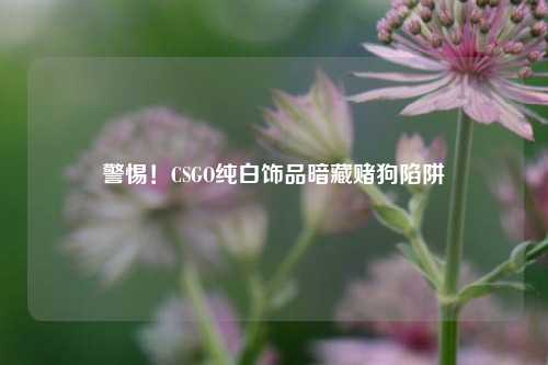 警惕！CSGO纯白饰品暗藏赌狗陷阱