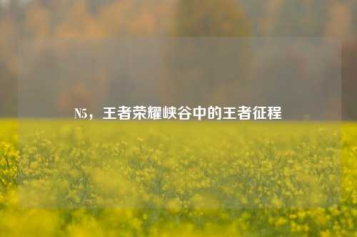 N5，王者荣耀峡谷中的王者征程