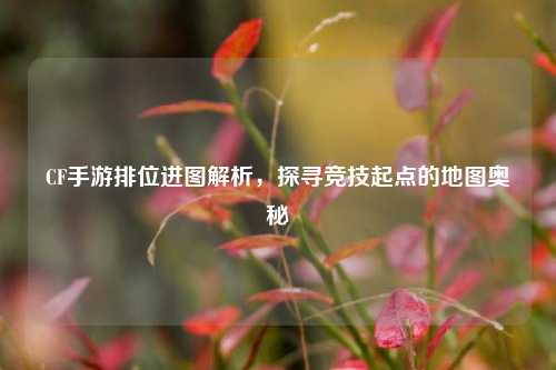 CF手游排位进图解析，探寻竞技起点的地图奥秘