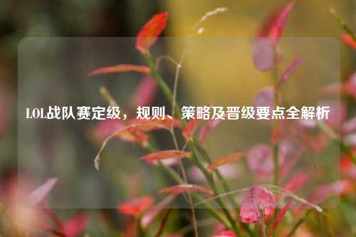 LOL战队赛定级，规则、策略及晋级要点全解析