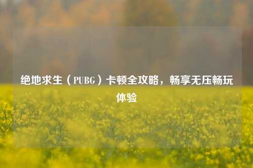 绝地求生（PUBG）卡顿全攻略，畅享无压畅玩体验