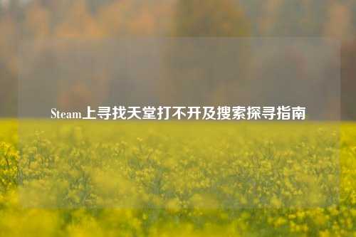 Steam上寻找天堂打不开及搜索探寻指南