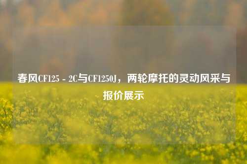 春风CF125 - 2C与CF1250J，两轮摩托的灵动风采与报价展示