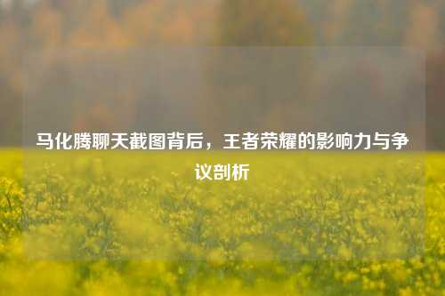 马化腾聊天截图背后，王者荣耀的影响力与争议剖析
