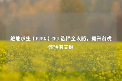 绝地求生（PUBG）CPU 选择全攻略，提升游戏体验的关键