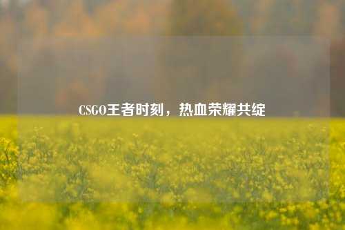CSGO王者时刻，热血荣耀共绽