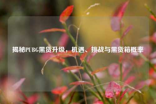 揭秘PUBG黑货升级,机遇、挑战与黑货箱概率