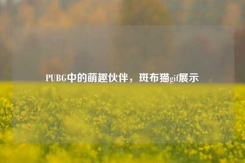 PUBG中的萌趣伙伴，斑布猫gif展示