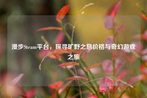 漫步Steam平台，探寻旷野之息价格与奇幻游戏之旅
