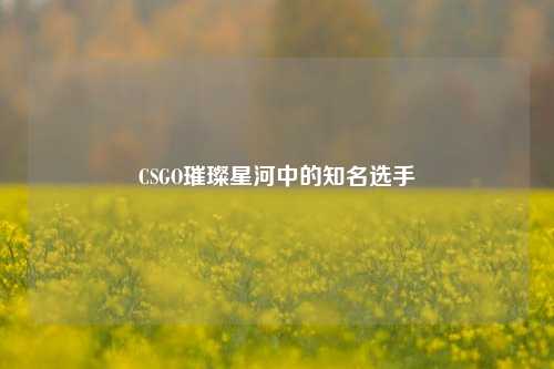 CSGO璀璨星河中的知名选手
