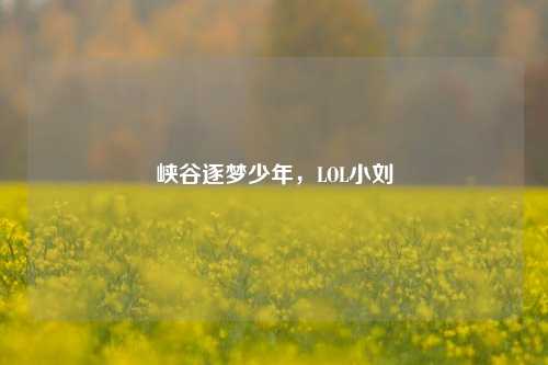 峡谷逐梦少年，LOL小刘