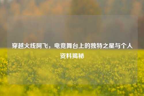 穿越火线阿飞，电竞舞台上的独特之星与个人资料揭秘