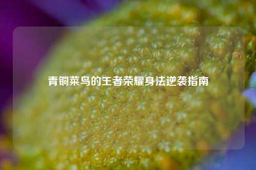 青铜菜鸟的王者荣耀身法逆袭指南
