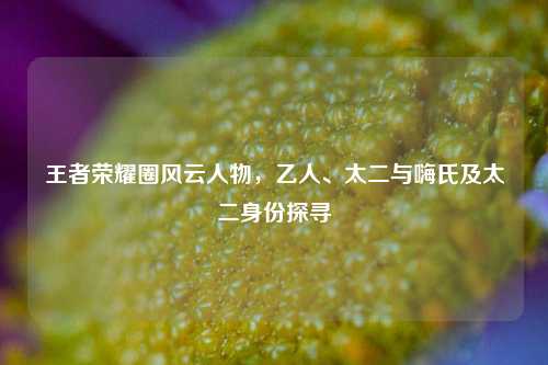 王者荣耀圈风云人物，乙人、太二与嗨氏及太二身份探寻