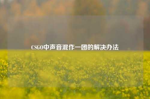 CSGO中声音混作一团的解决办法