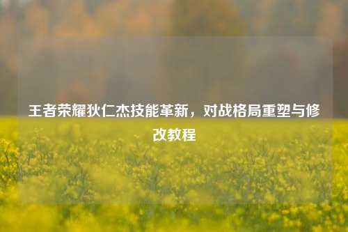 王者荣耀狄仁杰技能革新，对战格局重塑与修改教程