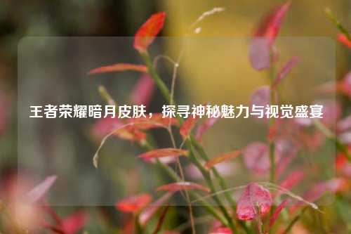 王者荣耀暗月皮肤,探寻神秘魅力与视觉盛宴