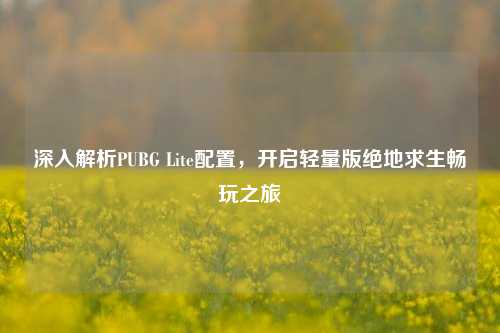 深入解析PUBG Lite配置，开启轻量版绝地求生畅玩之旅