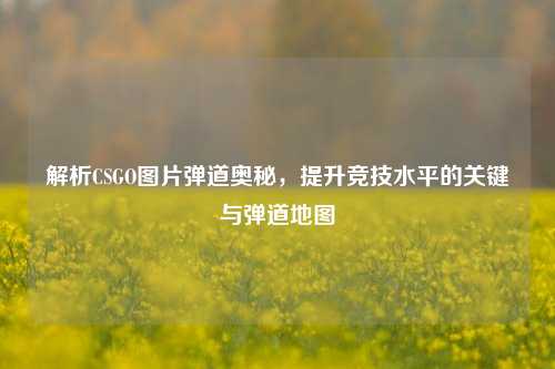 解析CSGO图片弹道奥秘，提升竞技水平的关键与弹道地图